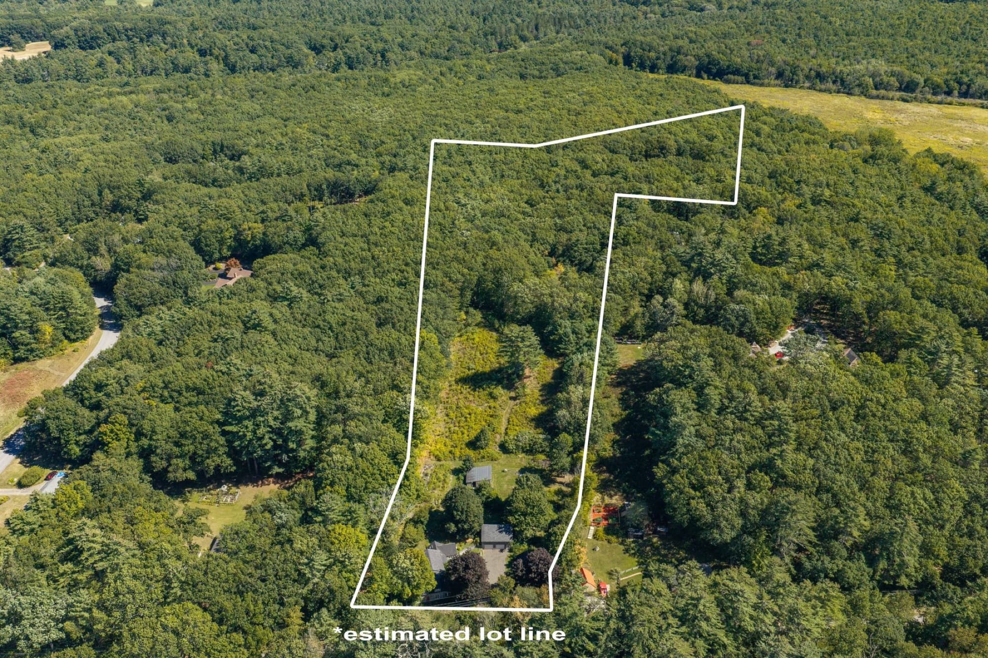 The wooded lot from the air, with the photographer's estimated lot line drawn in